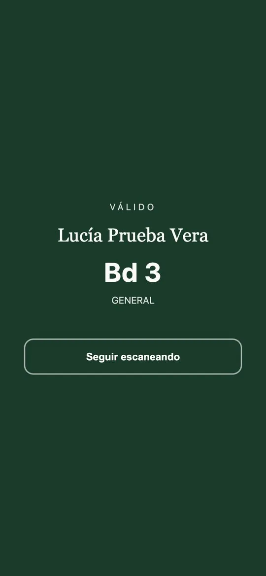 Entrada válida con nombre, asiento y tipo de entrada